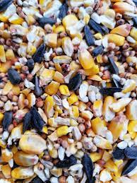 Maize Mixes
